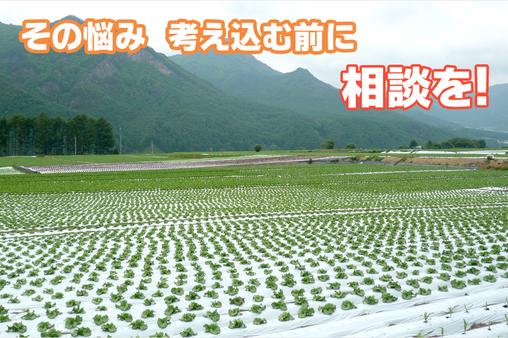 各種作物の生育相談 豊田肥料株式会社 静岡県袋井市